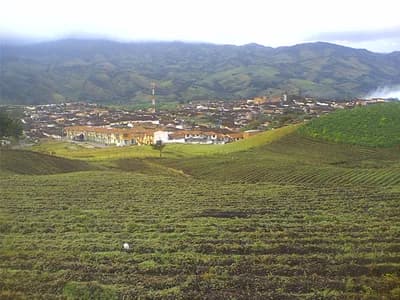 Colombia (Rural Areas)