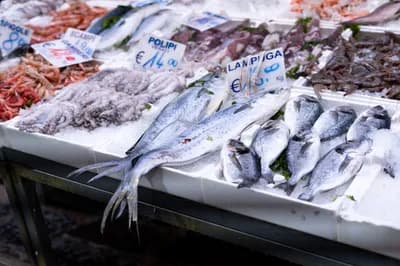 Seafood Fraud and Mislabeling