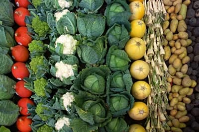 Nutritional Content Differences