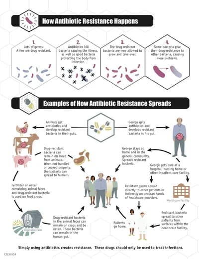 Antibiotic Use in Livestock