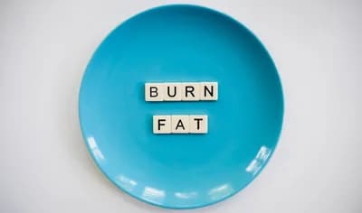 Fat Loss Efficiency