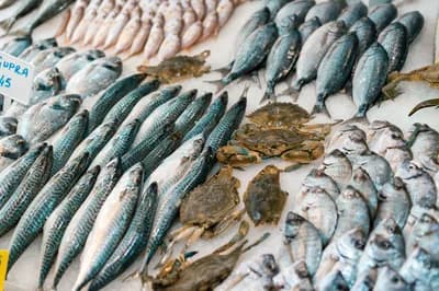 Wild-Caught Fatty Fish (Salmon, Mackerel, Sardines)