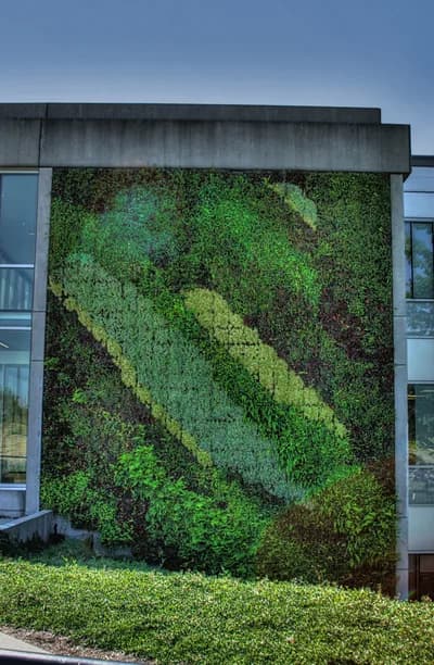 Indoor Vertical Gardens and Plant Walls