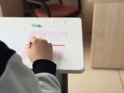 Active Recall Testing