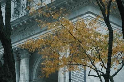 New York Public Library (New York, USA)