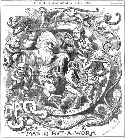 Evolution vs Creationism