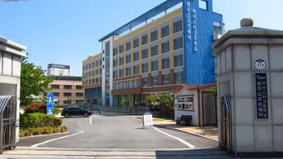 South Korea's Meister High Schools