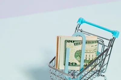 Use Price Tracking Tools Before Purchasing