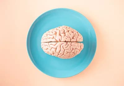 Humans Only Use 10% of Their Brains