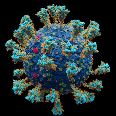 Discovery of Viruses
