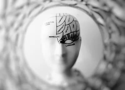 Phrenology's Modern Echoes