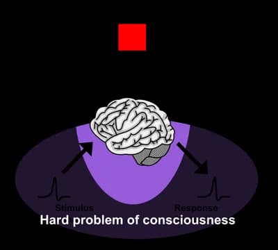 The Hard Problem of Consciousness