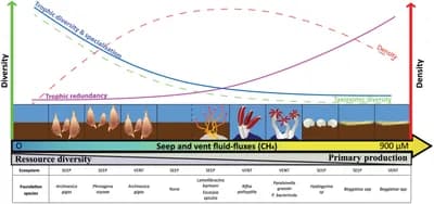 Hydrothermal Vent Ecosystems
