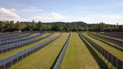 Agrivoltaics (Dual-Use Solar Farming)