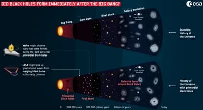 Primordial Black Holes
