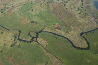 Okavango Delta, Botswana