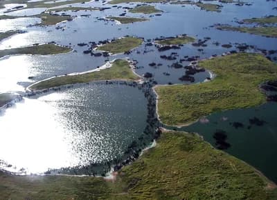 Pantanal, Brazil