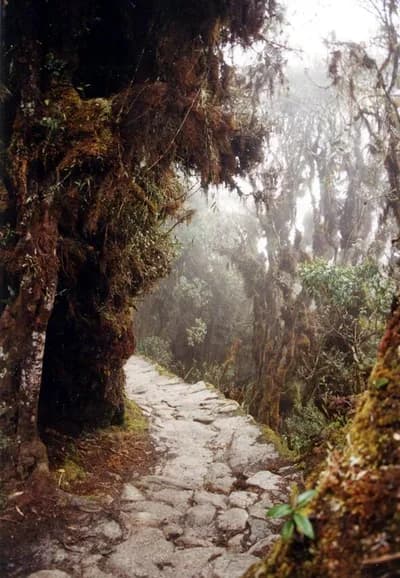Inca Trail to Machu Picchu, Peru