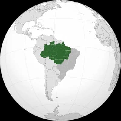 Brazilian Amazon