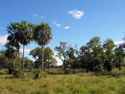 Chaco, Paraguay and Argentina