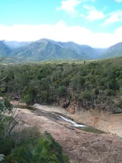 Madagascar Eastern Rainforests
