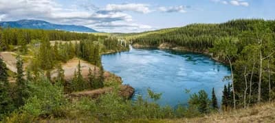 Boreal Forests of Canada