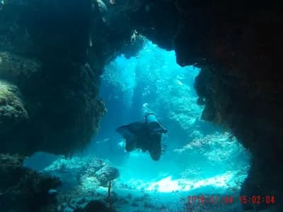 Palancar Reef, Cozumel, Mexico