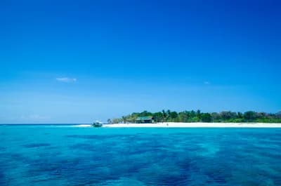 Apo Reef Natural Park, Philippines