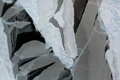 Arctic Ice-Free Summers