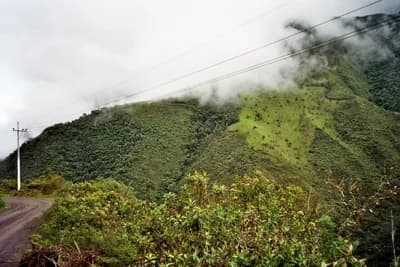 Mindo Cloud Forest, Ecuador