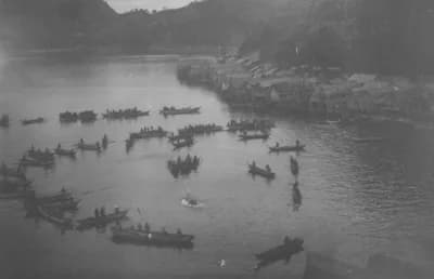 Japanese Dolphin Drive Hunts