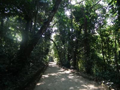 Jardim Botânico do Rio de Janeiro, Brazil