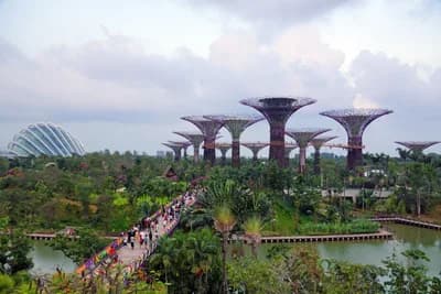 Gardens by the Bay, Singapore