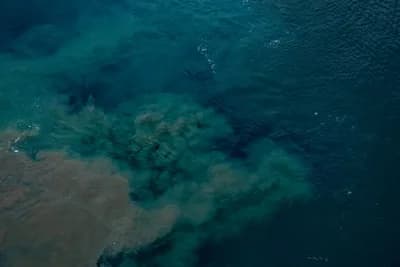 Deep-Sea Mining Sediment Plumes