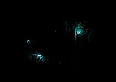 Waitomo Glowworm Caves, New Zealand