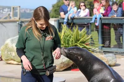Accreditation Standards and Roadside Zoos