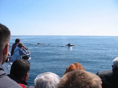 Monterey Bay, California, United States