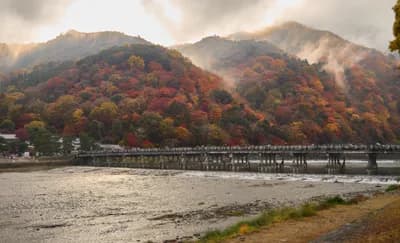 Arashiyama Bamboo Grove, Japan