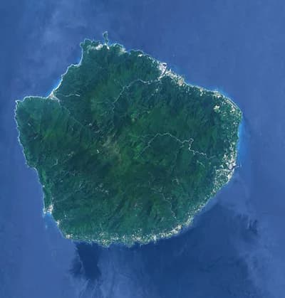 Yakushima Cedar Forest, Japan