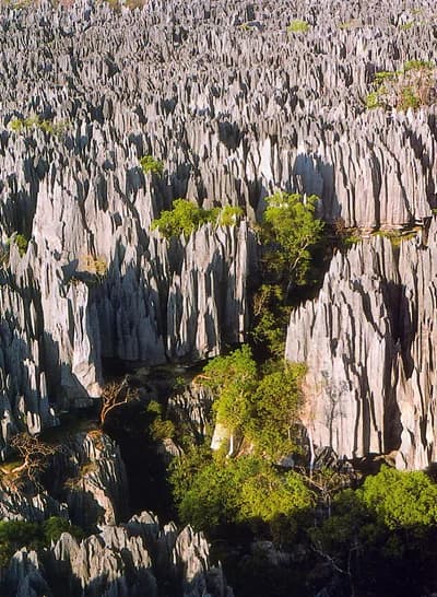 Tsingy de Bemaraha, Madagascar