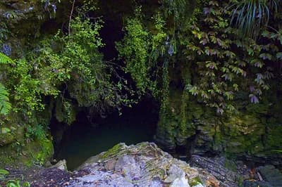 Waitomo Caves Karst Landscape, New Zealand
