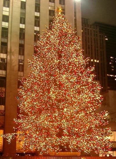 Rockefeller Center Christmas Tree Viewing (New York)