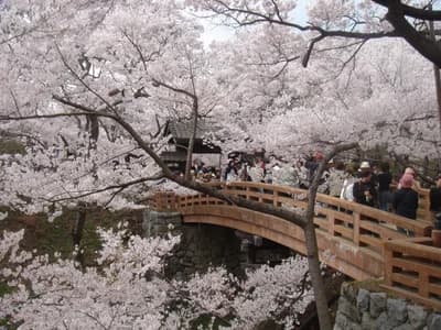 Takato Castle Ruins Park