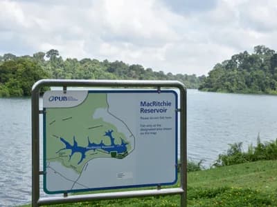 MacRitchie Reservoir Park