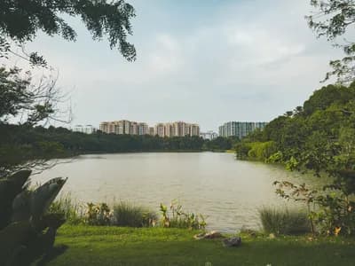 Jurong Lake Gardens