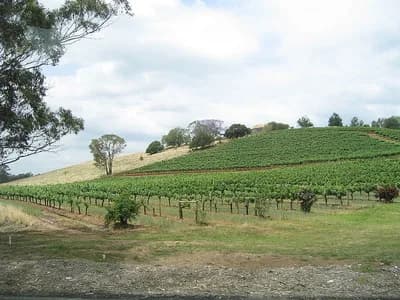 Hunter Valley