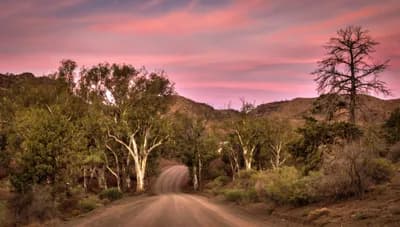 Flinders Ranges Bushwalking