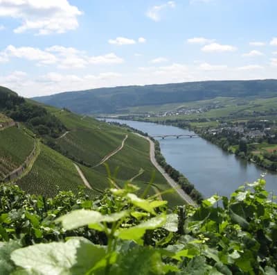 Moselle Cycle Route