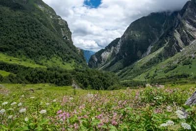 Valley of Flowers National Park