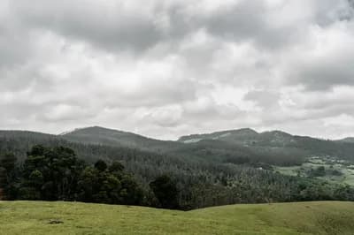 Ooty